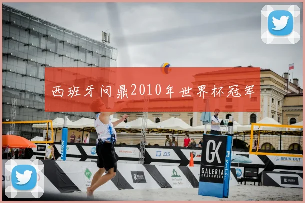 西班牙问鼎2010年世界杯冠军